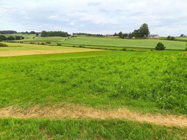 Bezpośrednio, Połęczyno, 1932 m² Działka