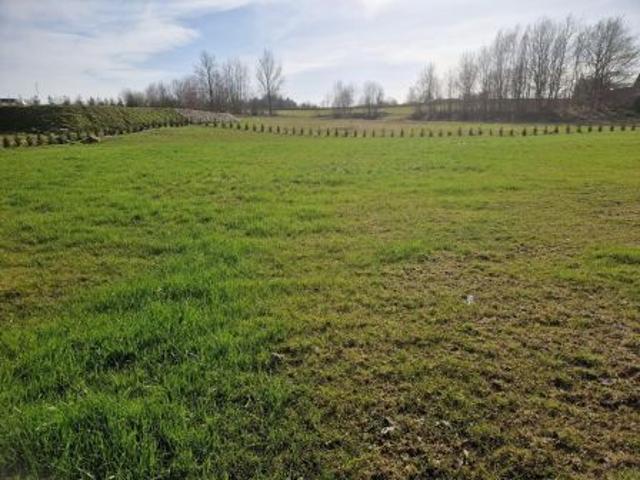 Bezpośrednio, Połęczyno, 800 m² Działka
