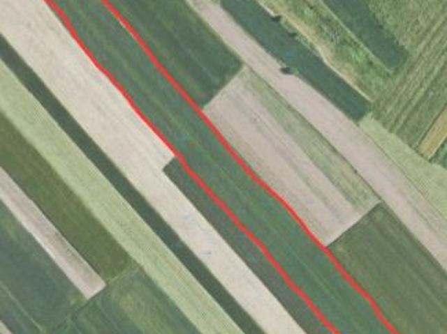 Bezpośrednio, Połaniec, Rychterówka, 8283 m² Działka