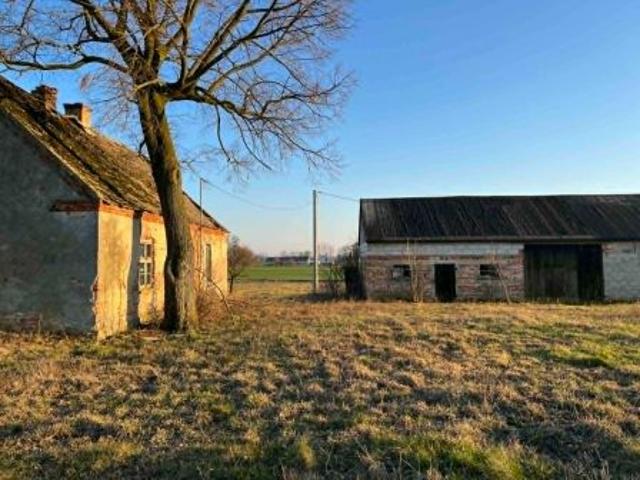 Bezpośrednio, Półwiesk Mały, 6400 m² Działka