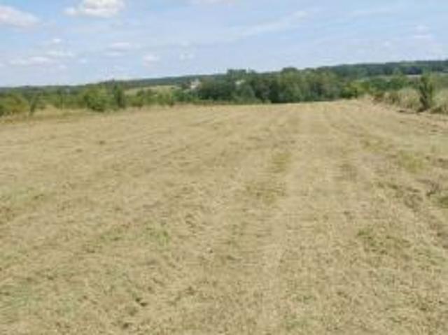 Bezpośrednio, Podgórz, 17100 m² Działka