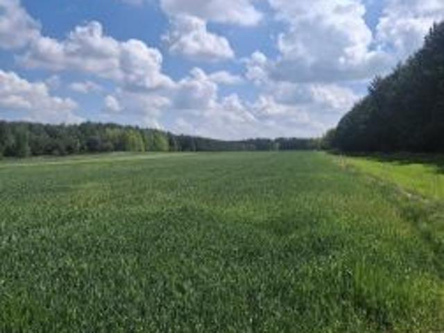 Bezpośrednio, Podgórze, 20000 m² Działka
