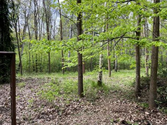 Bezpośrednio, Podkowa Leśna, ul. Wiewiórek, 2761 m² Działka