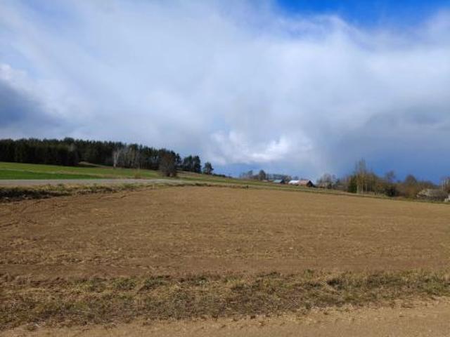 Bezpośrednio, Podsutki, 1793 m² Działka
