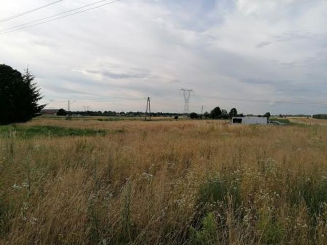 Bezpośrednio, Pólko, 2800 m² Działka