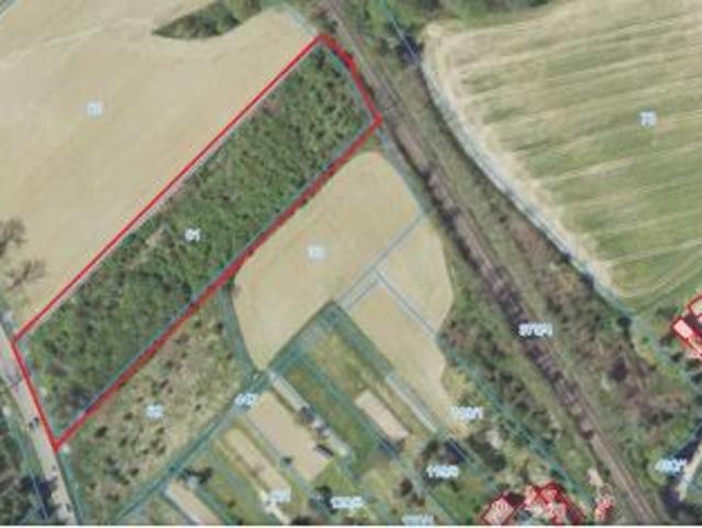 Bezpośrednio, Polski Świętów, 10000 m² Działka