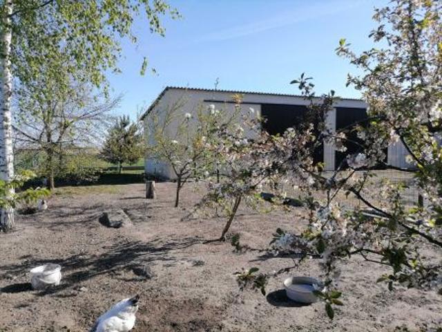 Bezpośrednio, Ponętów Dolny, 1600 m² Działka