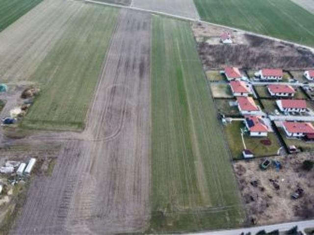 Bezpośrednio, Poniatowice, 1000 m² Działka