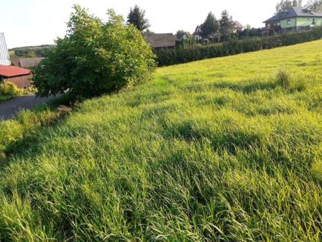 Bezpośrednio, Porąbka Uszewska, 5100 m² Działka