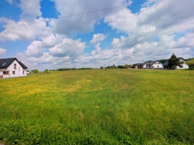 Bezpośrednio, Porosły Kolonia, 1460 m² Działka