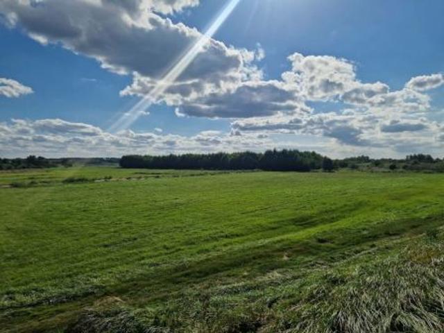 Bezpośrednio, Pawłówek, 40000 m² Działka