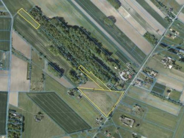 Bezpośrednio, Pałki, 24800 m² Działka