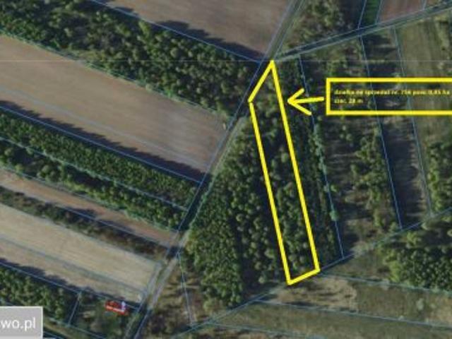 Bezpośrednio, Pacierzów, 12400 m² Działka