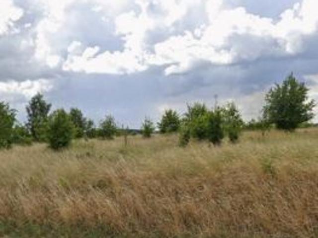 Bezpośrednio, Pakość, 1193 m² Działka