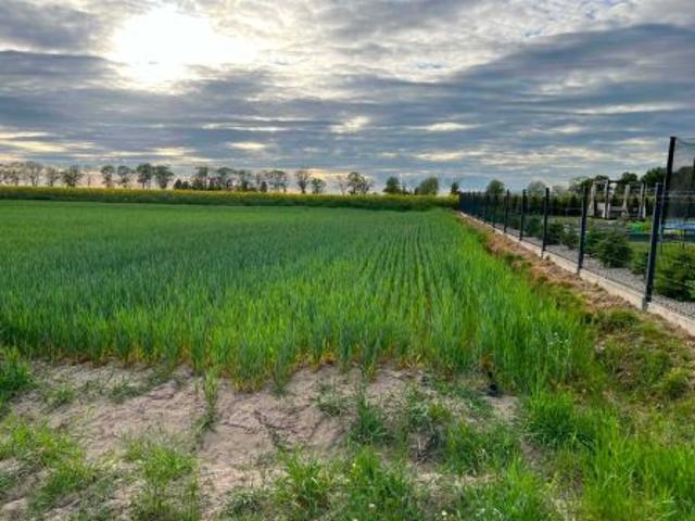 Bezpośrednio, Papowo Toruńskie, 1277 m² Działka
