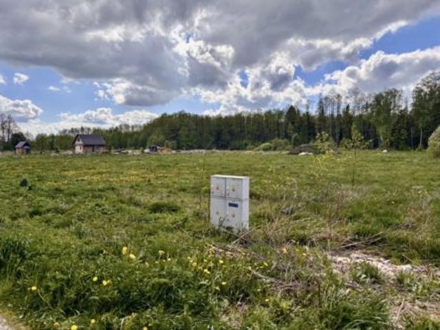 Bezpośrednio, Pasynki, 4500 m² Działka