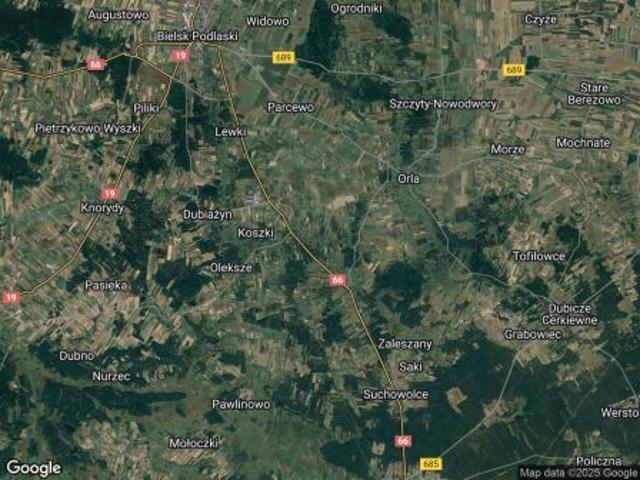 Bezpośrednio, Paszkowszczyzna, 28000 m² Działka