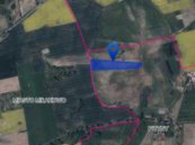 Bezpośrednio, Pityny, 25000 m² Działka