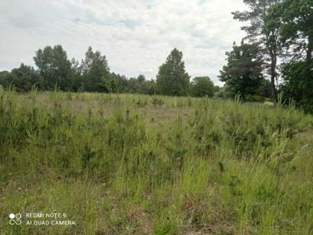 Bezpośrednio, Piława, 1500 m² Działka