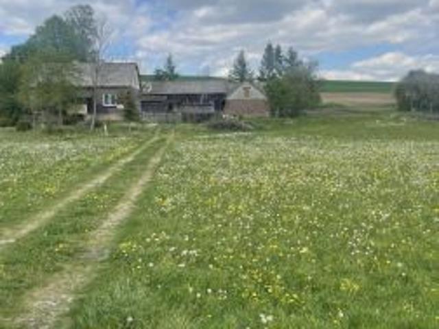 Bezpośrednio, Piaski Szlacheckie, 100 m² Dom