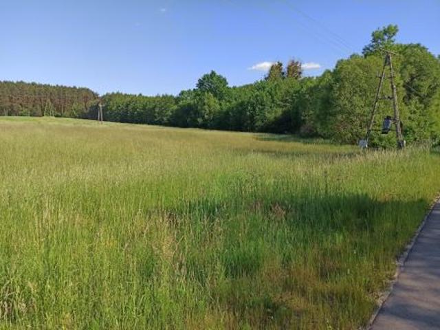 Bezpośrednio, Piaski, 180000 m² Działka