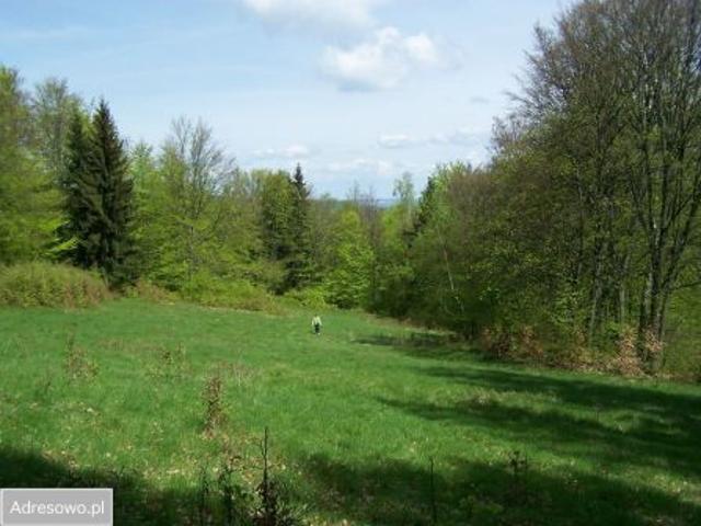 Bezpośrednio, Piechowice, ul. Wczasowa, 16494 m² Działka