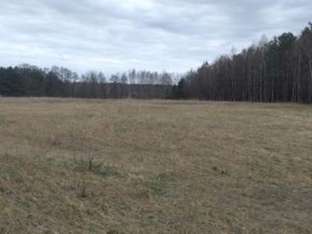 Bezpośrednio, Pieczyska, 1000 m² Działka