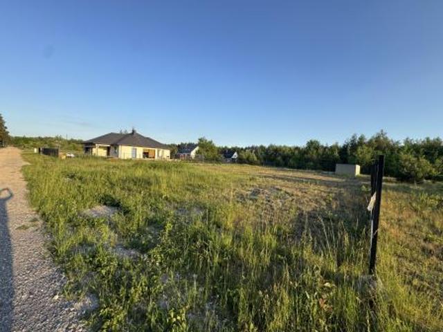 Bezpośrednio, Piekoszów, ul. Akacjowa, 1231 m² Działka