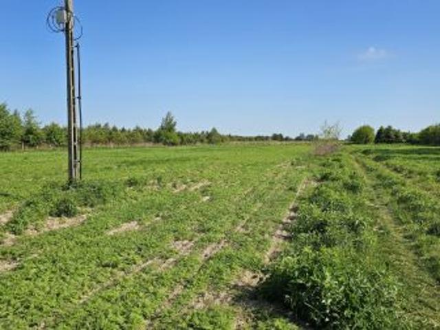 Bezpośrednio, Piekary, 3000 m² Działka