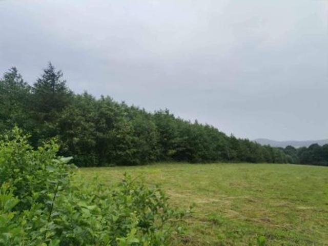 Bezpośrednio, Pielgrzymka, 17000 m² Działka