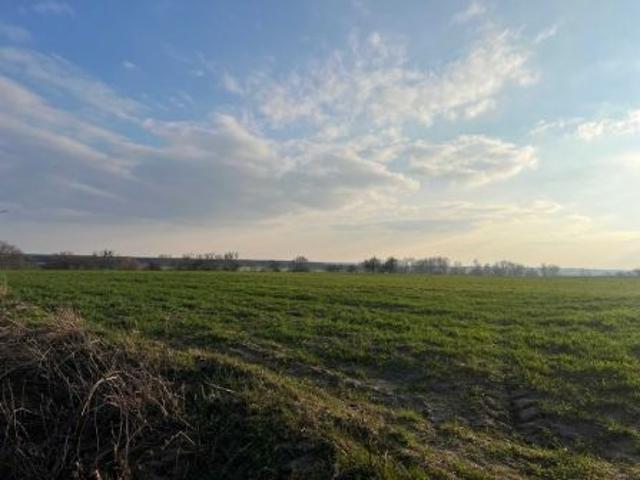 Bezpośrednio, Pietrzyków Kolonia, 1000 m² Działka