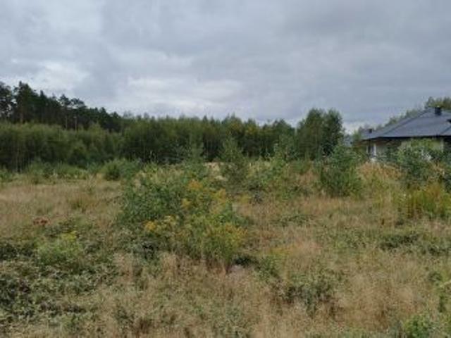 Bezpośrednio, Piotrków Trybunalski, 1250 m² Działka