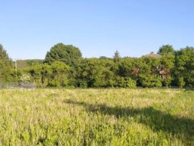 Bezpośrednio, Piotrkówek, 3000 m² Działka