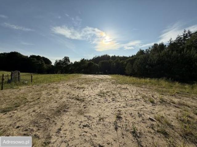 Bezpośrednio, Piotrowo, ul. Leśna, 1165 m² Działka