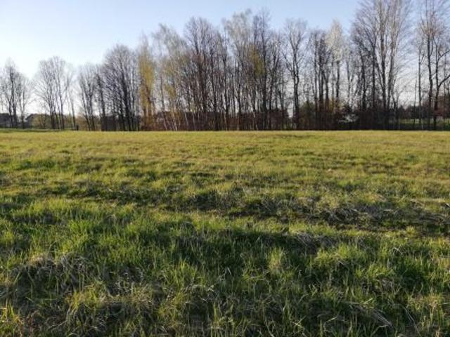 Bezpośrednio, Pisarzowice, 1316 m² Działka