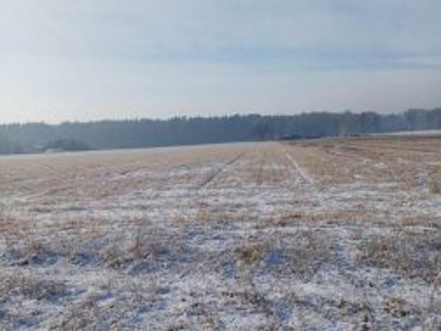 Bezpośrednio, Pisarzowice, 2441 m² Działka