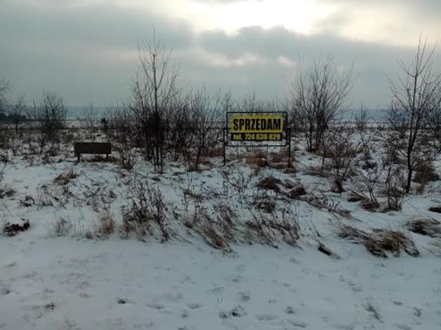 Bezpośrednio, Pisarzowice, 3569 m² Działka