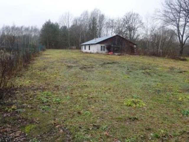 Bezpośrednio, Pisklaki, 5000 m² Działka