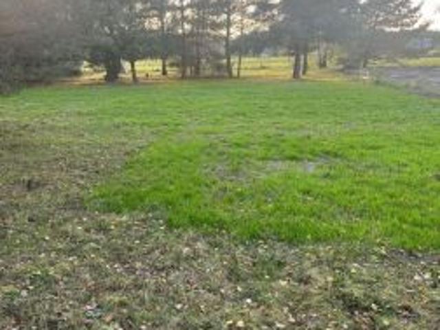 Bezpośrednio, Placydów, 1051 m² Działka