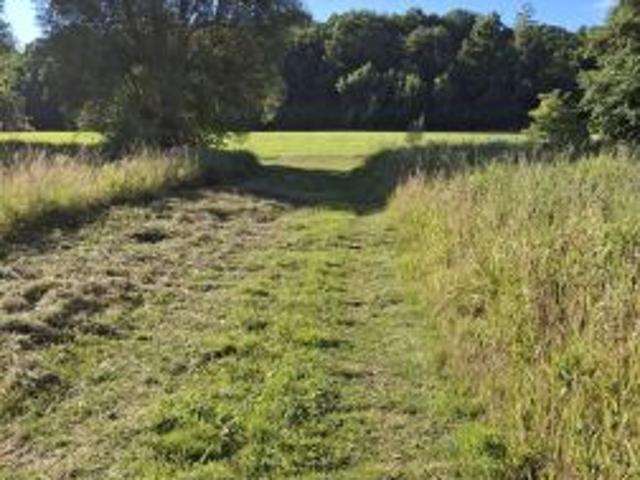 Bezpośrednio, Pleśna, 392 m² Działka