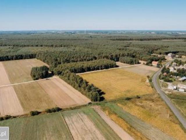 Bezpośrednio, Plebanki, 705 m² Działka