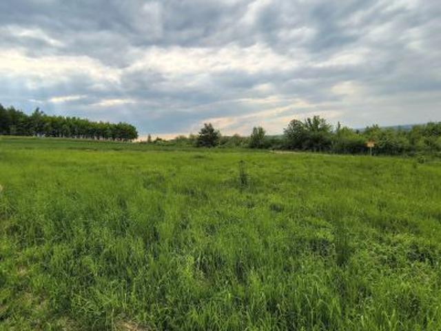 Bezpośrednio, Pruchnik, 800 m² Działka