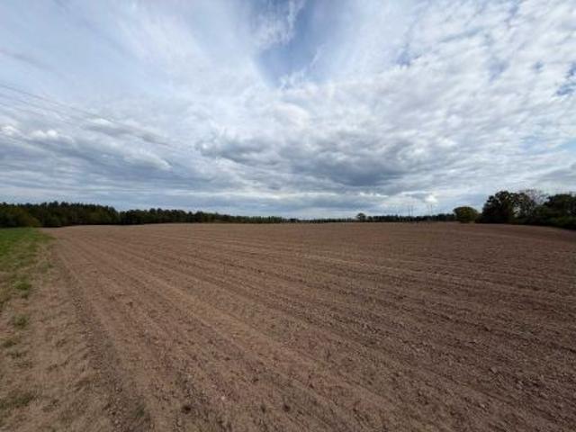 Bezpośrednio, Prusinowo, 88176 m² Działka