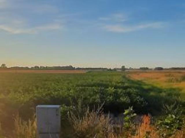 Bezpośrednio, Przemocze, 2800 m² Działka