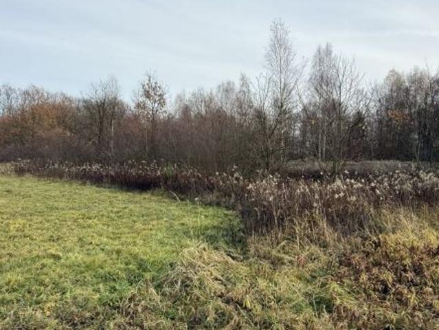 Bezpośrednio, Przeginia Narodowa, ul. Za Tamą, 3182 m² Działka