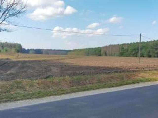 Bezpośrednio, Przerąb, 36400 m² Działka