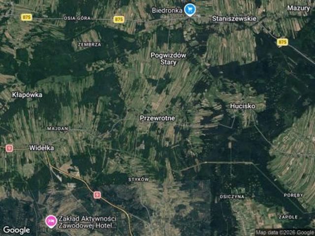 Bezpośrednio, Przewrotne, 10000 m² Działka