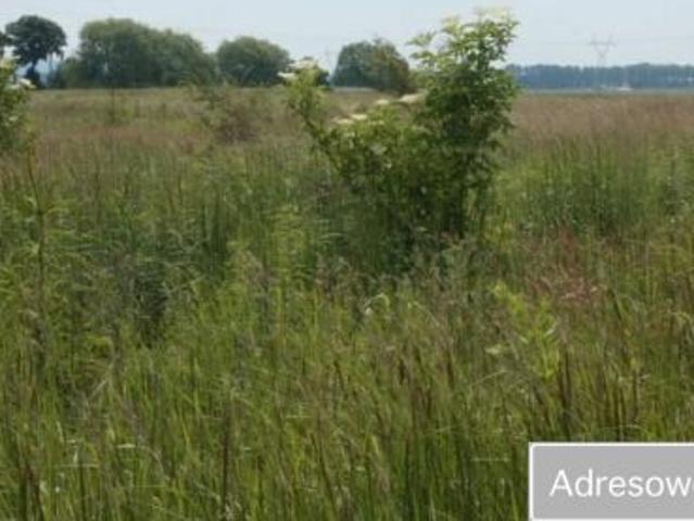 Bezpośrednio, Przylep, 1025 m² Działka
