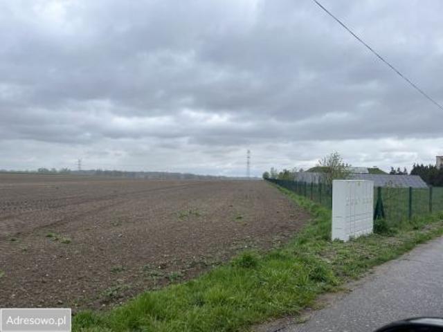 Bezpośrednio, Prószków, ul. Daszyńskiego, 2000 m² Działka