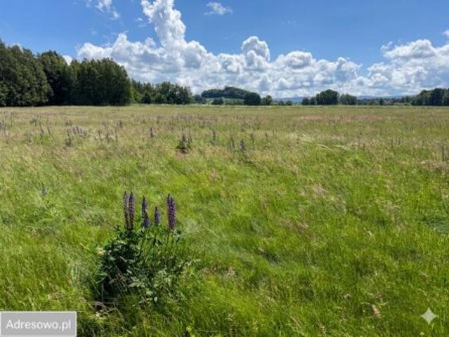 Bezpośrednio, Proszówka, 1200 m² Działka